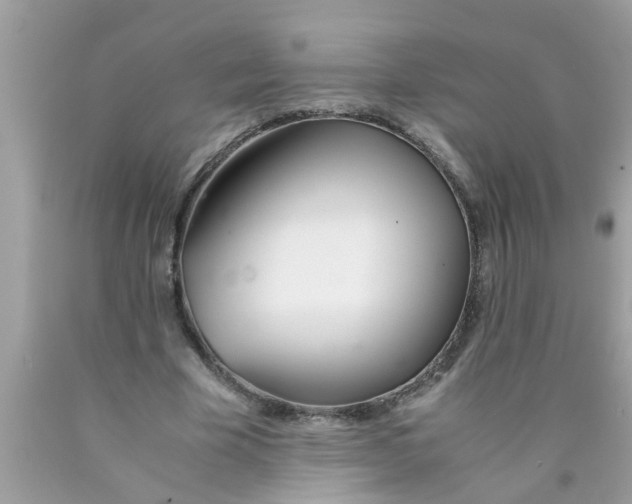 X0000089870585200707262150