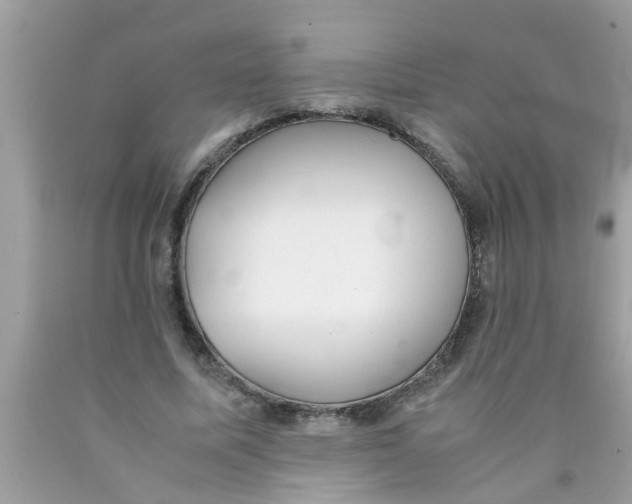 X0000089870587200707262150
