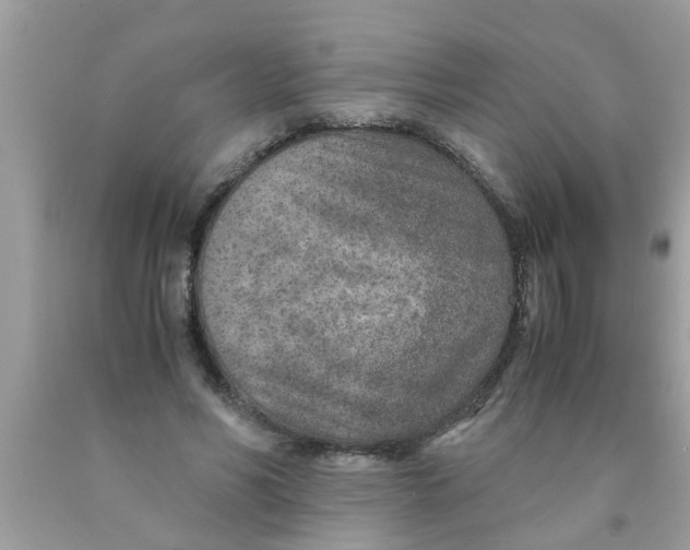 X0000089870590200707262150