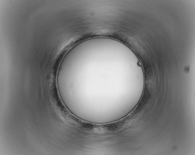 X0000089870591200707262150