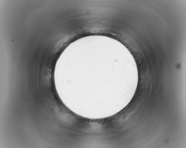 X0000089870592200707262150
