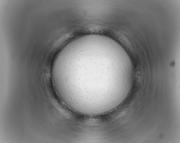 X0000089870593200707262150