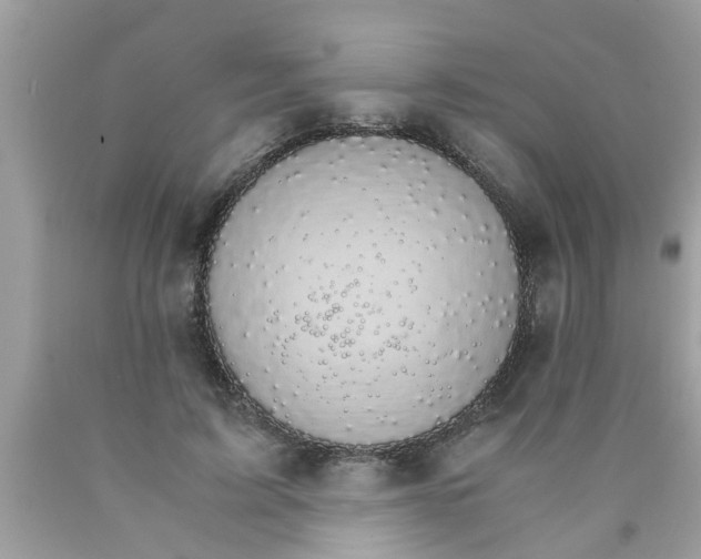 X0000089870595200707262150