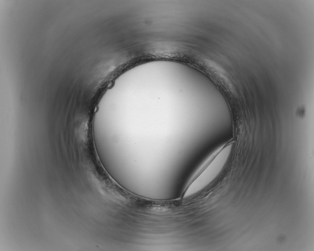 X0000089870596200707262150