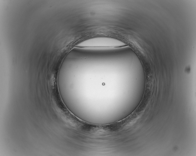 X0000089870597200707262150