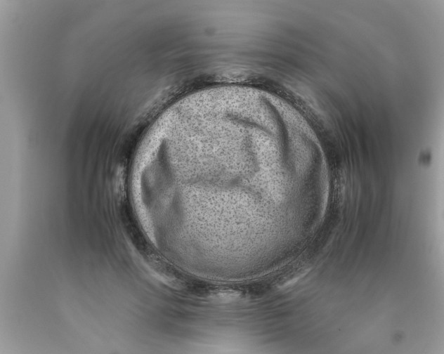 X0000089870598200707262150