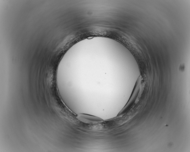 X0000089870600200707262150