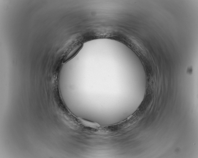 X0000089870601200707262150