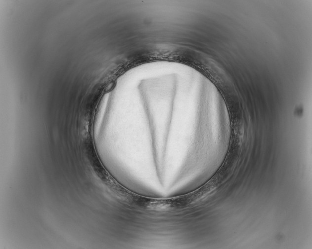 X0000089870602200707262150