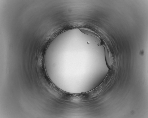 X0000089870604200707262150