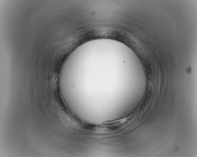 X0000089870605200707262150