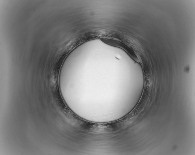 X0000089870607200707262150