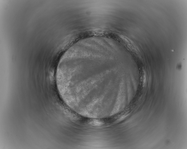 X0000089870610200707262150