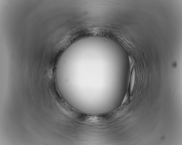 X0000089870611200707262150