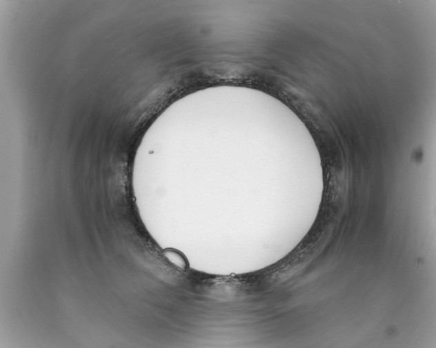 X0000089870612200707262150