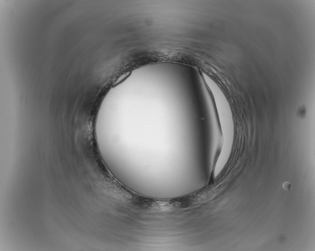 X0000089870613200707262150