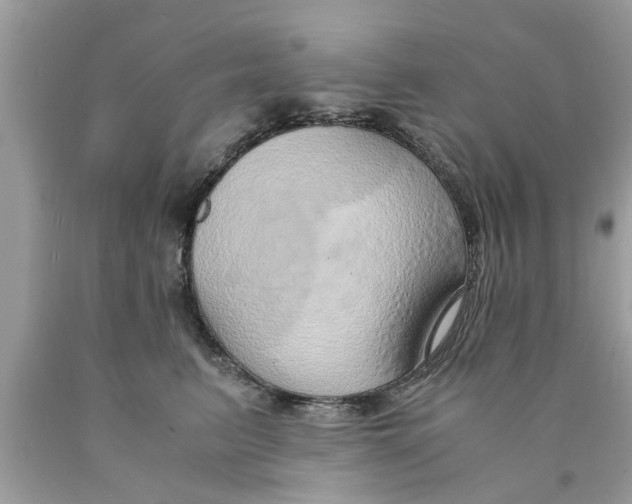 X0000089870615200707262150