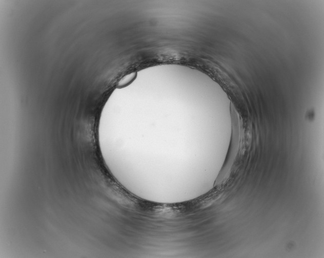 X0000089870616200707262150