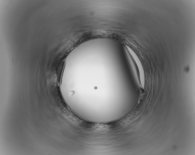X0000089870617200707262150