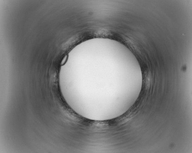 X0000089870619200707262150