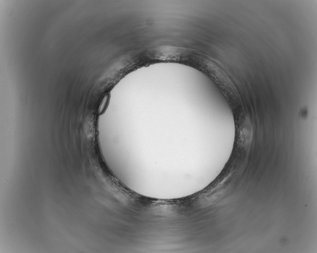 X0000089870620200707262150
