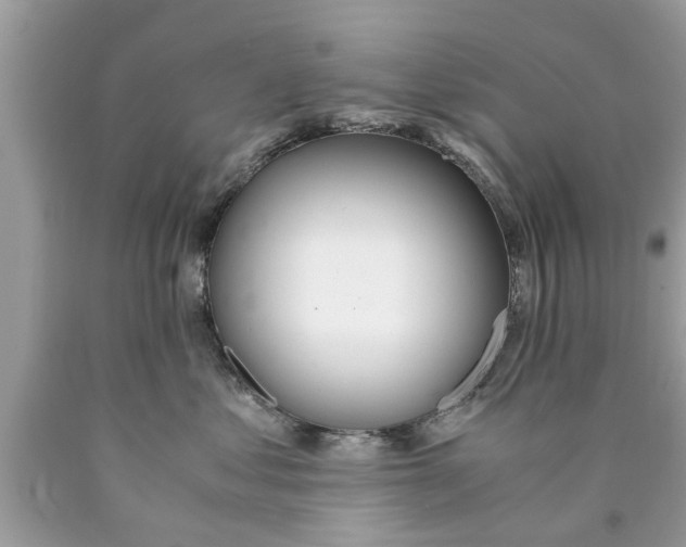 X0000089870621200707262150