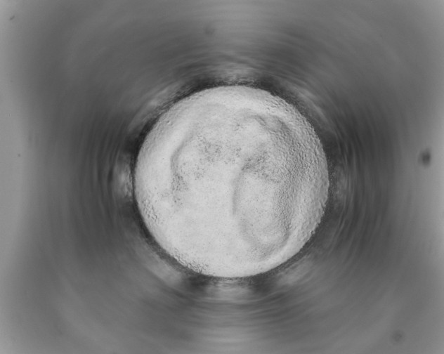 X0000089870622200707262150