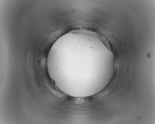 X0000089870623200707262150