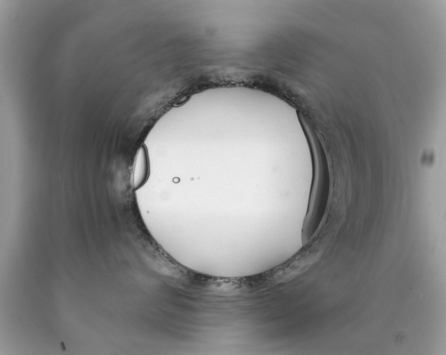 X0000089870624200707262150