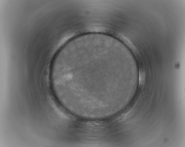 X0000089870627200707262149
