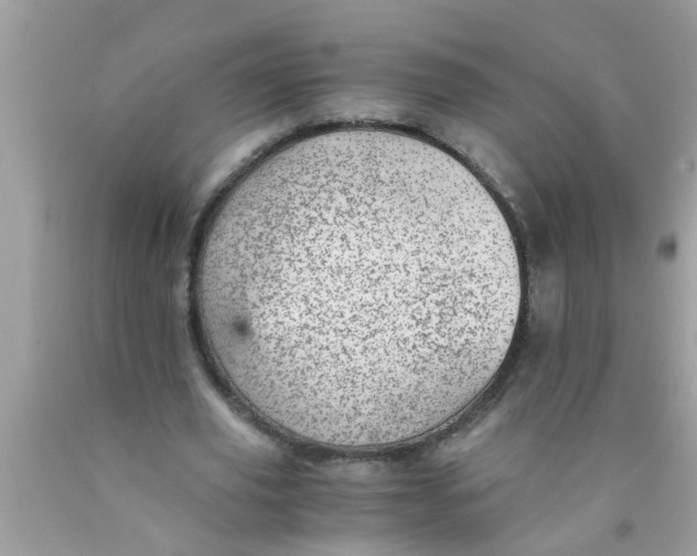 X0000089870629200707262149