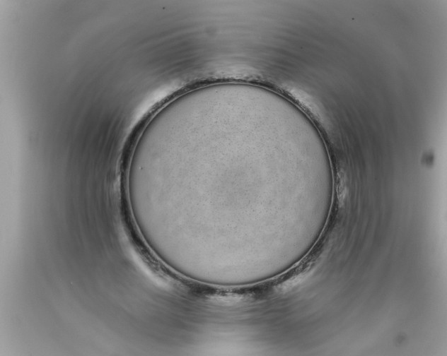 X0000089870630200707262149