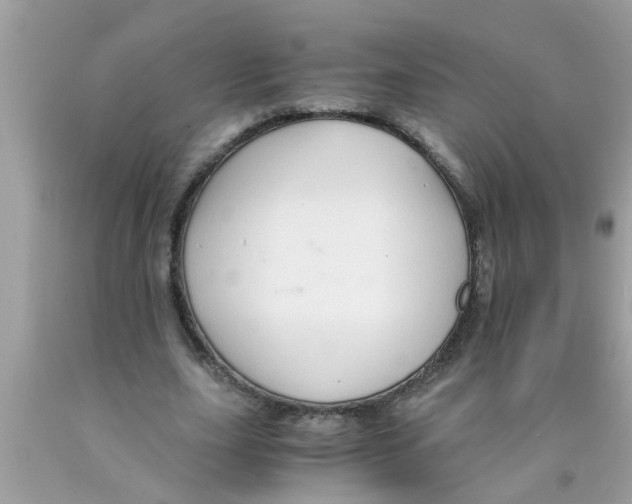X0000089870631200707262149
