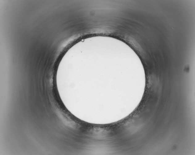 X0000089870632200707262149