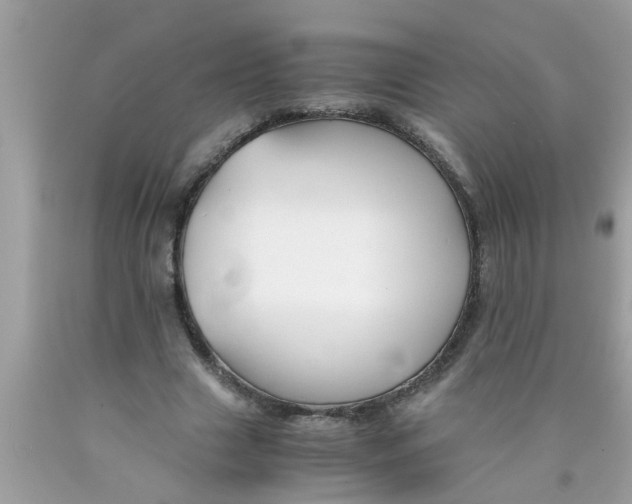 X0000089870633200707262149