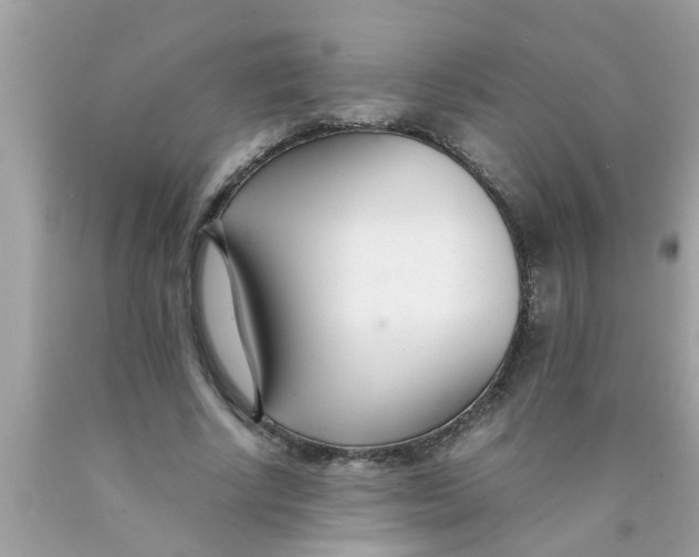 X0000089870634200707262149