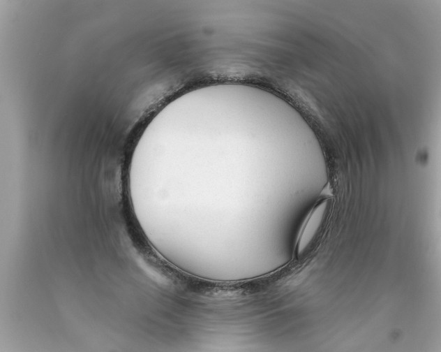 X0000089870638200707262149