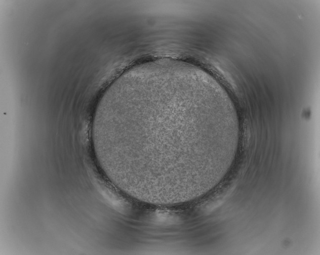 X0000089870641200707262149