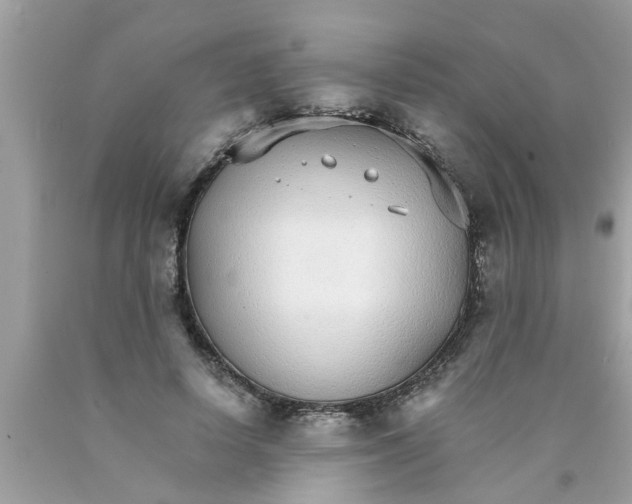 X0000089870642200707262149