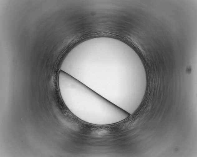 X0000089870643200707262149