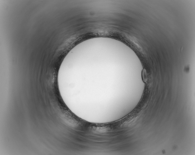 X0000089870645200707262149