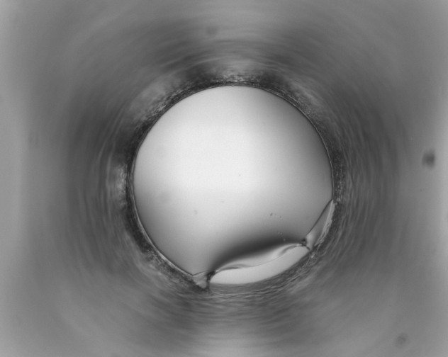 X0000089870646200707262149