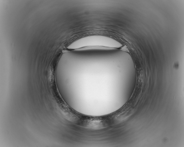 X0000089870651200707262150