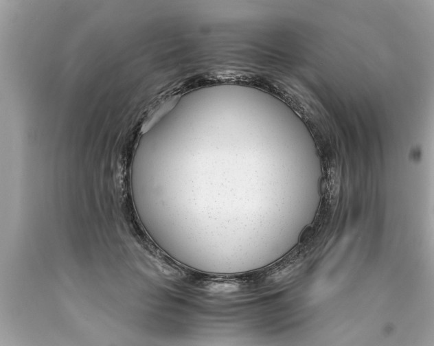 X0000089870653200707262150