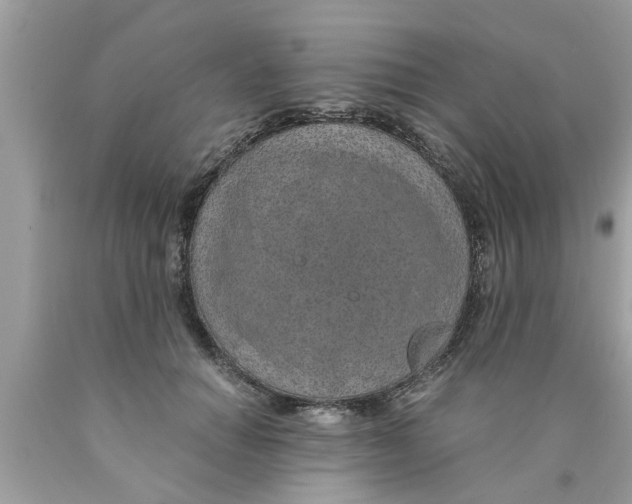 X0000089870654200707262150