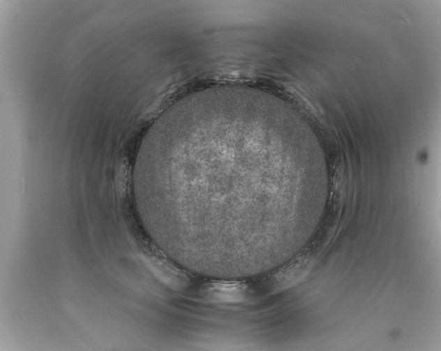 X0000089870659200707262150