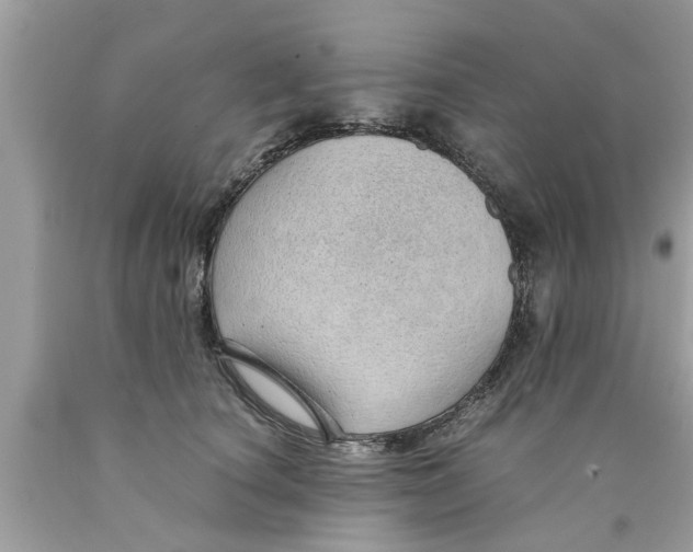 X0000089870660200707262150