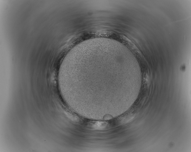X0000089870663200707262150