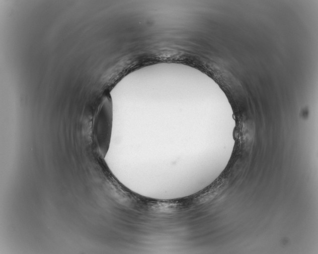 X0000089870664200707262150