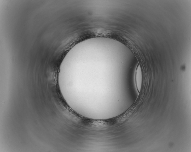 X0000089870666200707262150